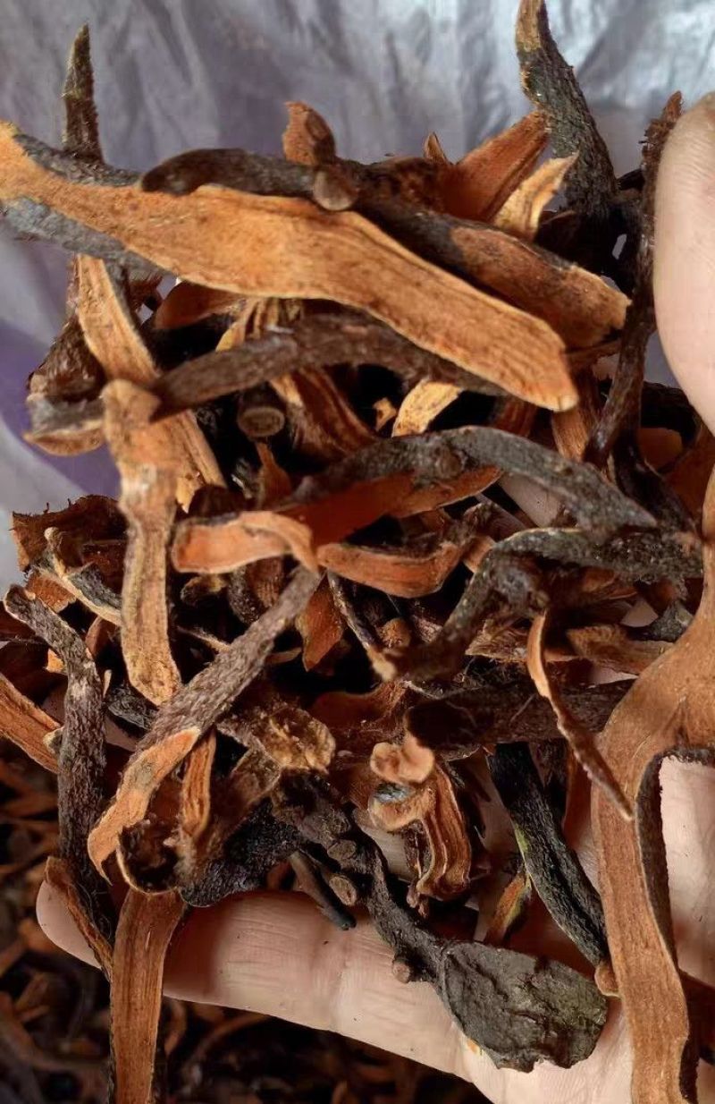 骨碎补大货价25元/斤