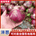 【推荐】河南二红洋葱紫皮洋葱基地直供全国代发保质保量