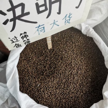 决明子大货价2.5元/斤