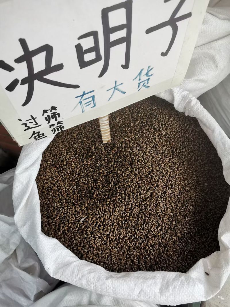 决明子大货价2.5元/斤