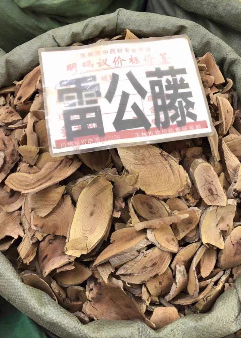 雷公藤大货价12.5元