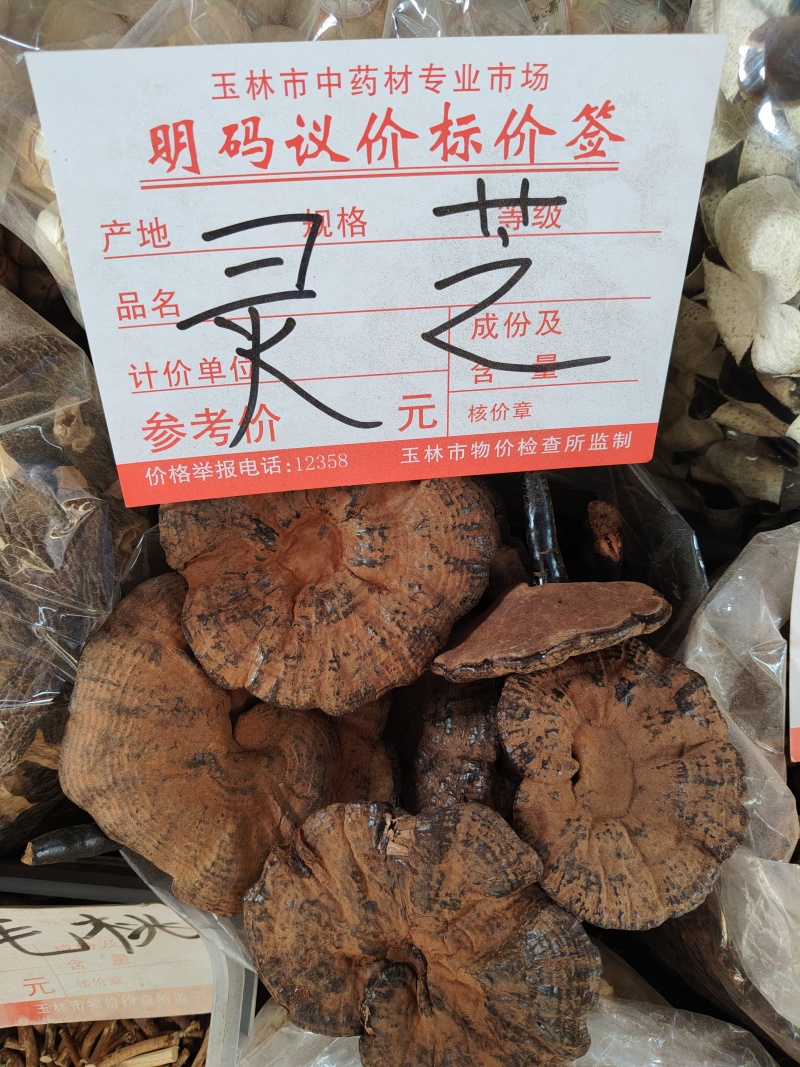 灵芝大货价175元/斤