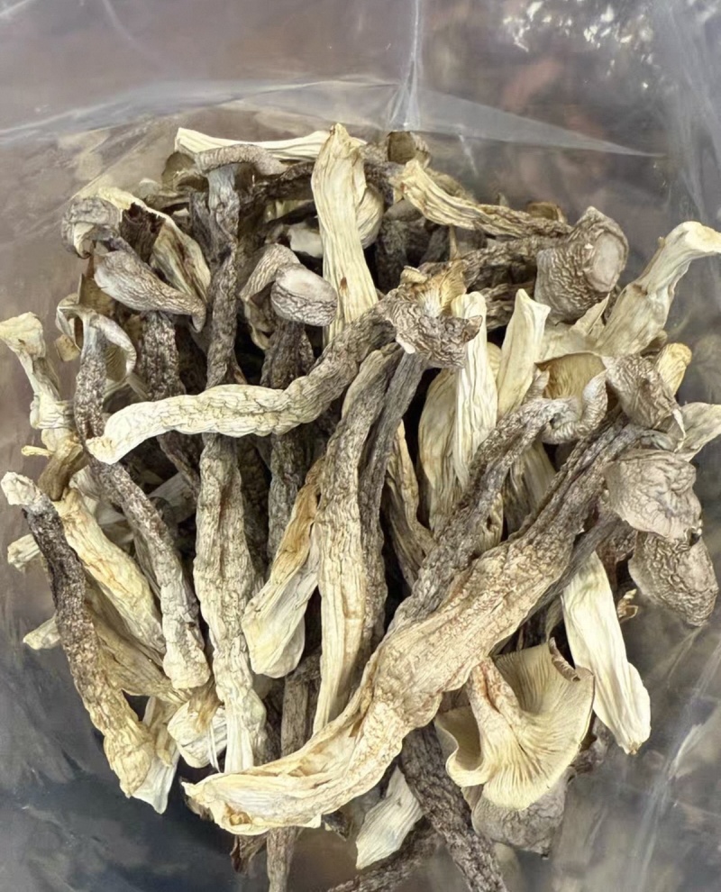 鹿茸菇大货价30元/斤