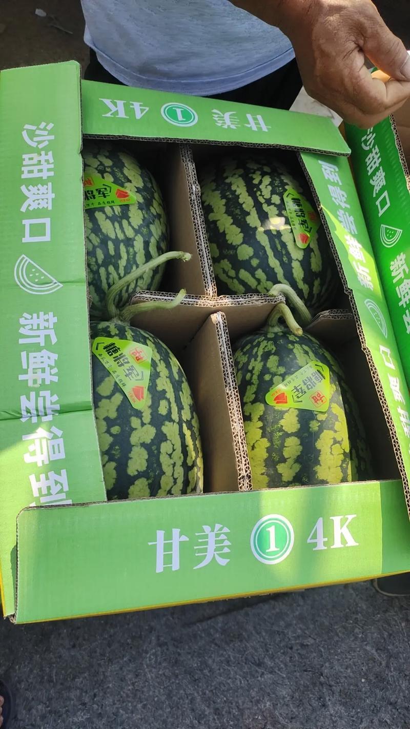 陕西西瓜精品甘美4K西瓜基地直发对接电商市场商超