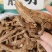 前胡大货价30元/斤