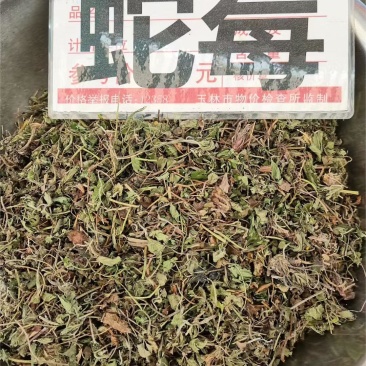 蛇莓大货价4元/斤