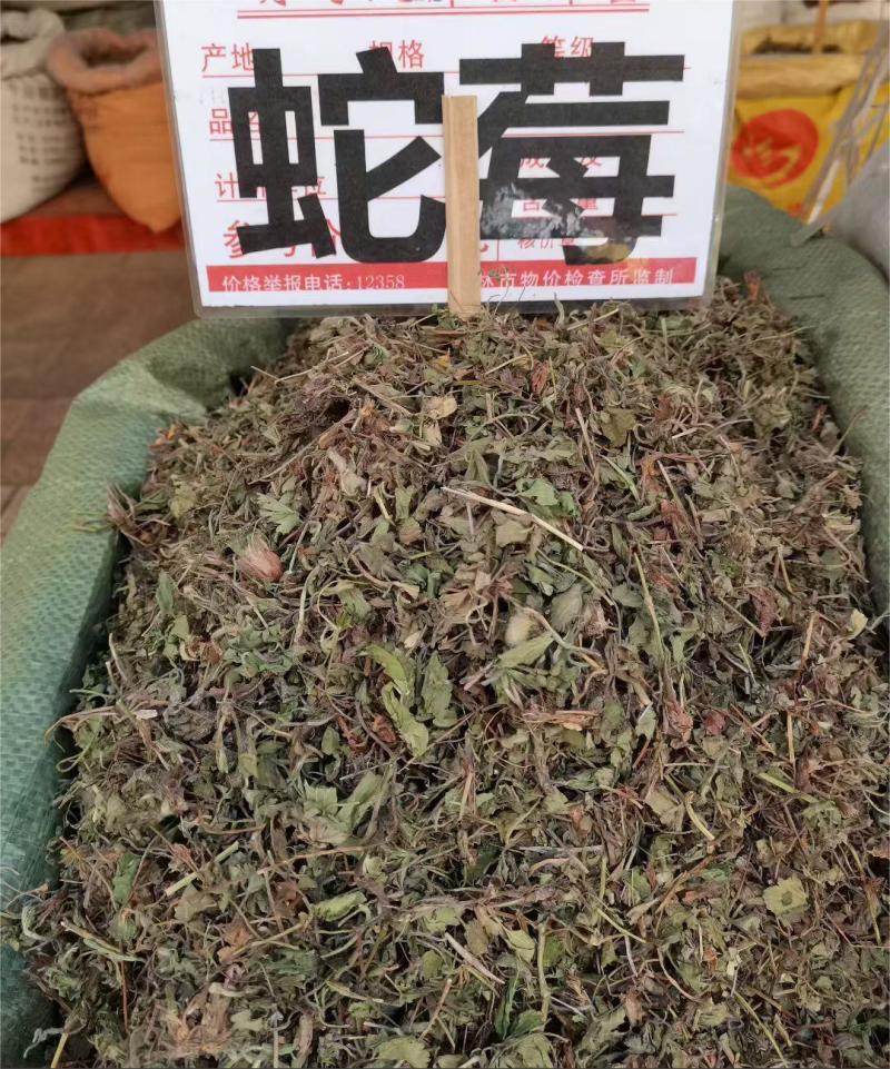 蛇莓大货价4元/斤