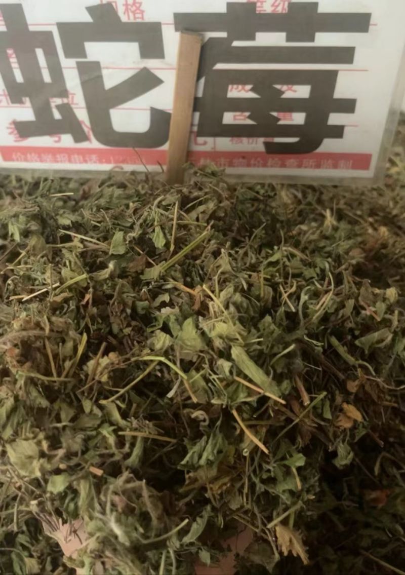 蛇莓大货价4元/斤