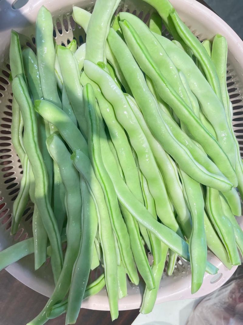 山东白不老豆角基地直发对接电商市场商超可视频