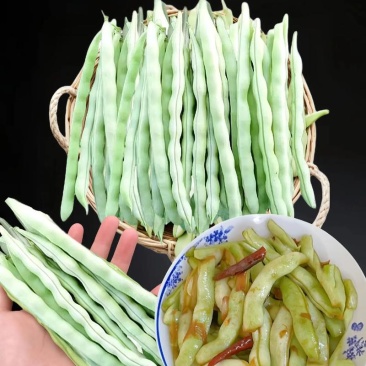 山东白不老豆角基地直发对接电商市场商超可视频