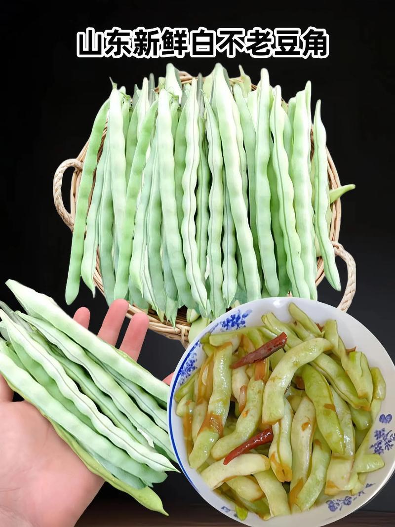 山东白不老豆角基地直发对接电商市场商超可视频