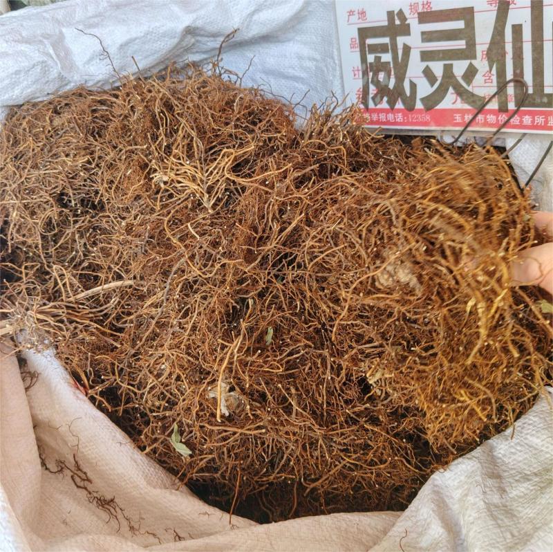 威灵仙大货价24元/斤