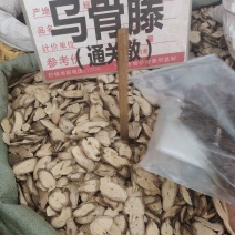 乌骨藤大货价11.5元/斤