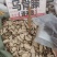 乌骨藤大货价11.5元/斤