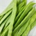 山东扁豆角扁豆基地直发一手货源可视频看货