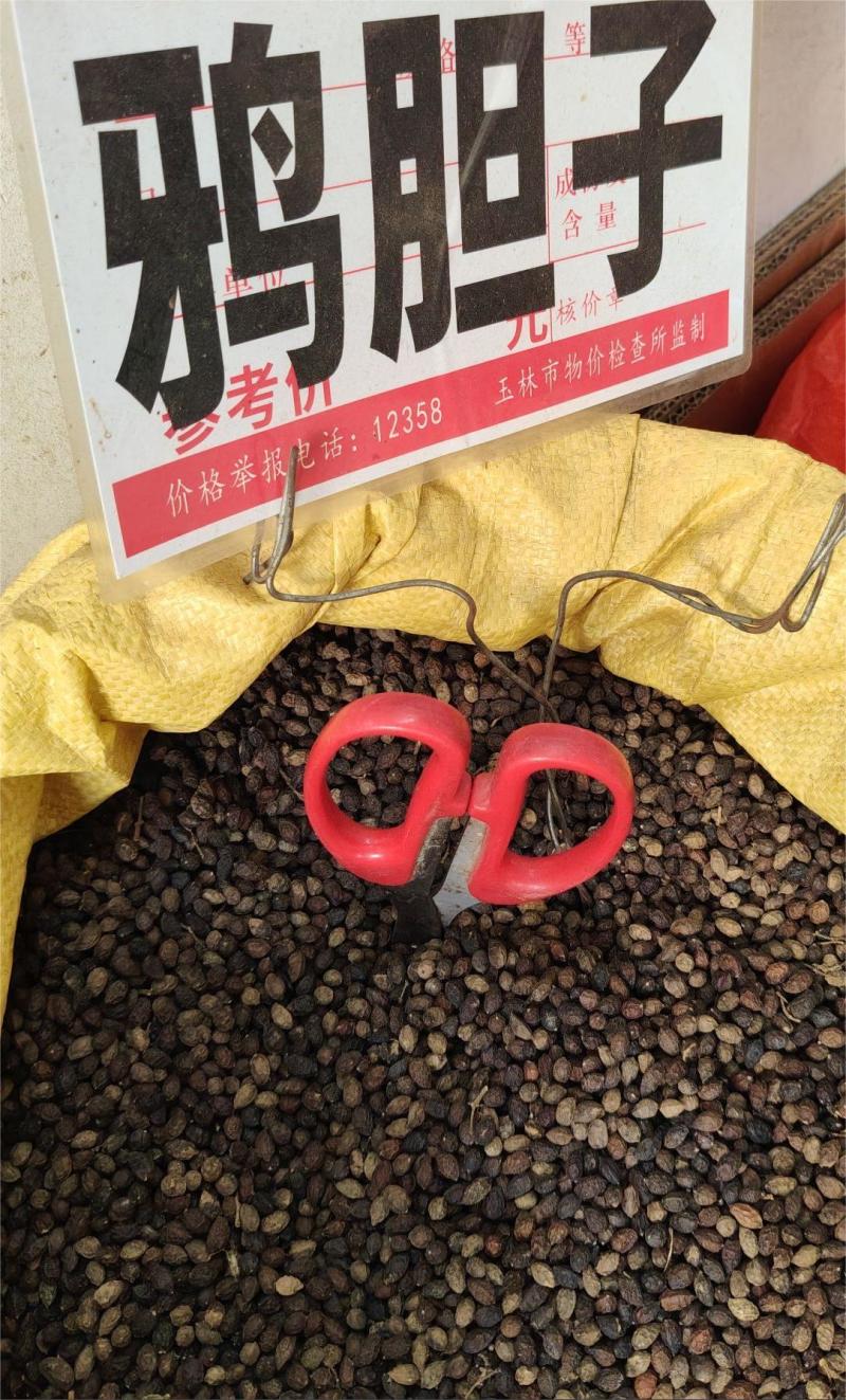 鸦胆子大货价10元/斤