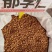 郁李仁大货价10元/斤