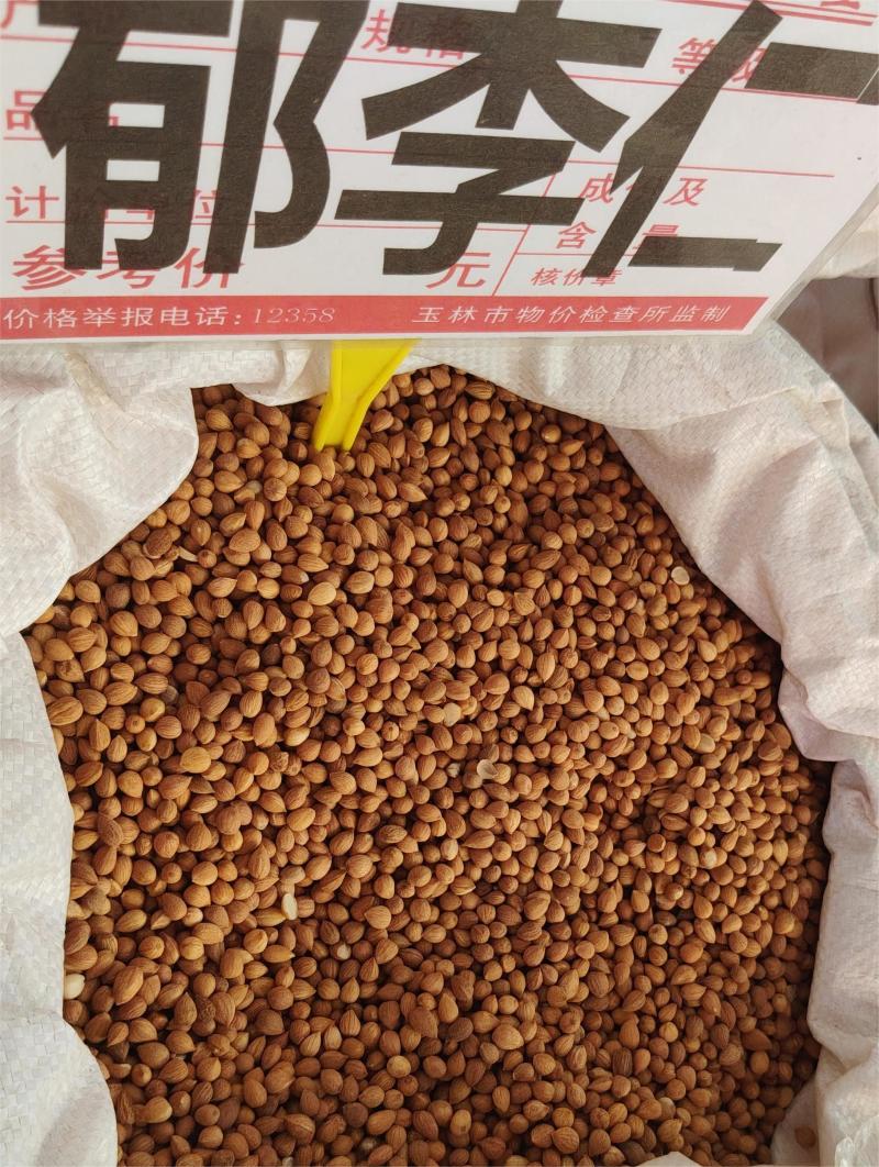 郁李仁大货价10元/斤