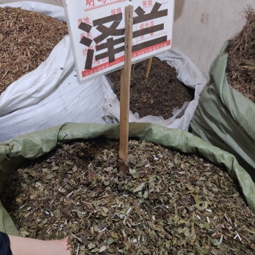 泽兰大货价4元/斤