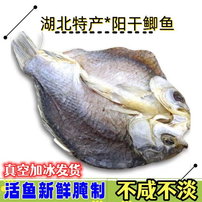 风干鱼湖北洪湖特产干鲫鱼大号，一手货源，新鲜腌制