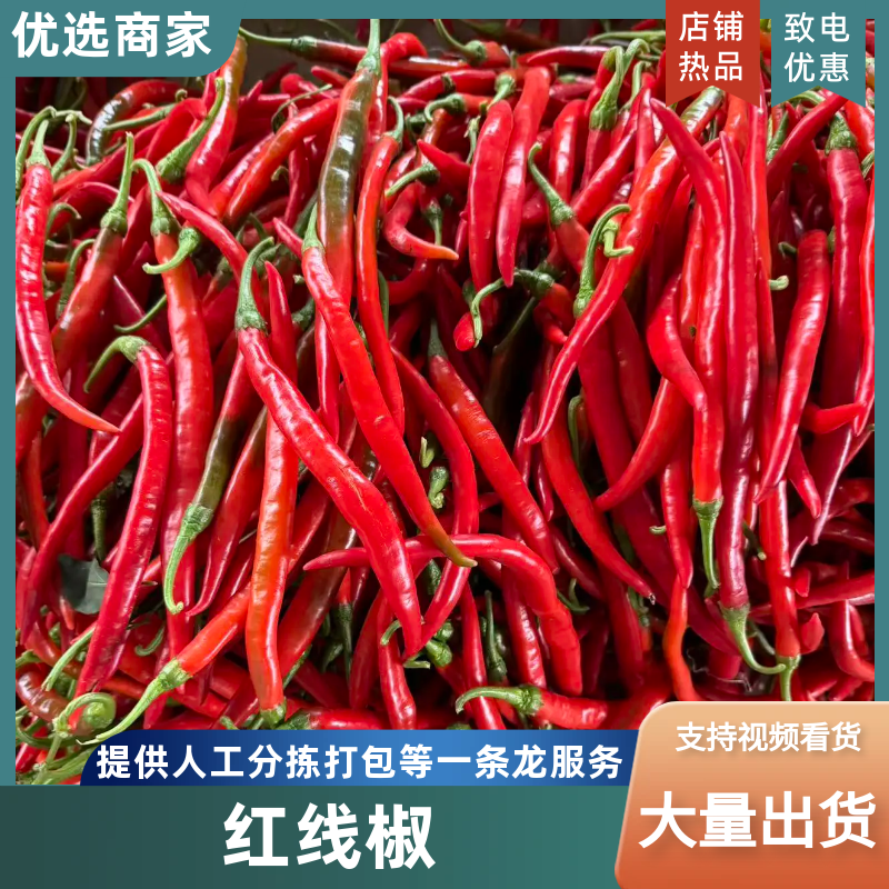 安徽红线椒/3号红对接商超批发市场/欢迎咨询