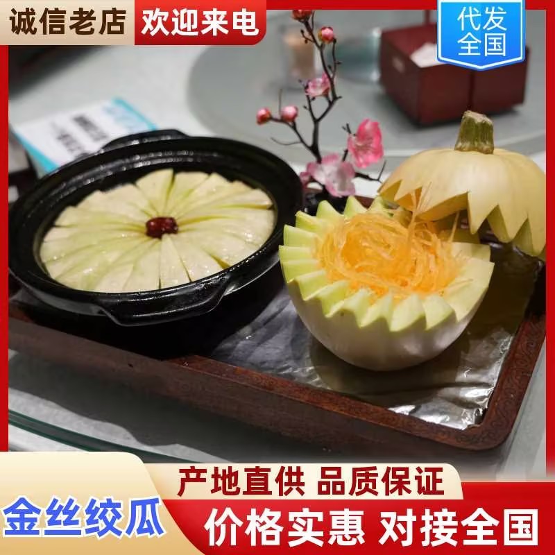 安徽精品金丝搅瓜自家种植现摘现发质优价廉物超所值供应全国