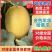 新疆吐鲁番精品哈密瓜金色年华/产地直发量大价优诚信经营