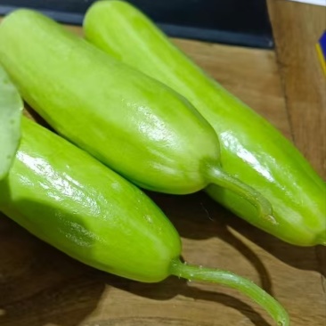 奶油黄瓜，产地直采，精品现货速发，味美价廉欢迎选购