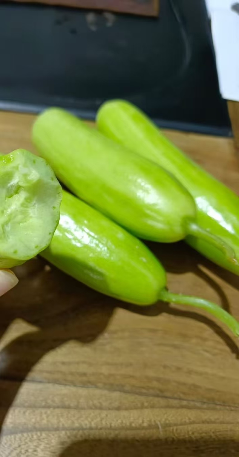 奶油黄瓜，产地直采，精品现货速发，味美价廉欢迎选购