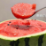 甜王西瓜精品西瓜🍉产地直发量大从优可对接全国客商市场等