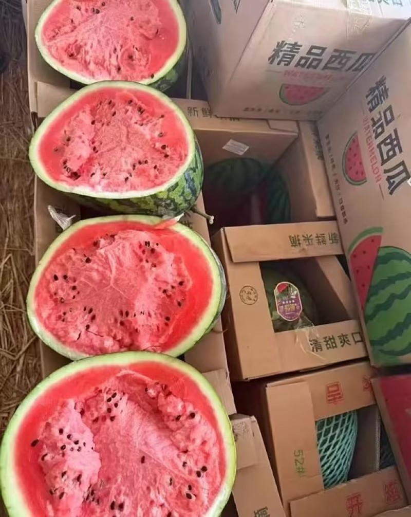 【实力推荐】甜王西瓜西瓜产地直发量大从优可对接全国市场