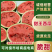 甜王西瓜精品西瓜🍉产地直发量大从优可对接全国客商市场等