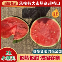 小糖丸西瓜🍉精品小吊瓜全美2K瓜价格美丽先到先得可对接