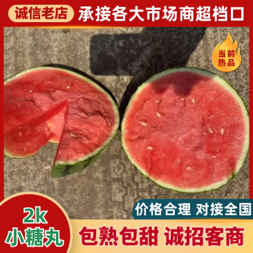 小糖丸西瓜🍉精品小吊瓜全美2K瓜价格美丽先到先得可对接