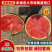 小糖丸西瓜🍉精品小吊瓜全美2K瓜价格美丽先到先得可对接