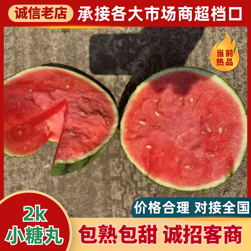 小糖丸西瓜🍉精品小吊瓜全美2K瓜价格美丽先到先得可对接
