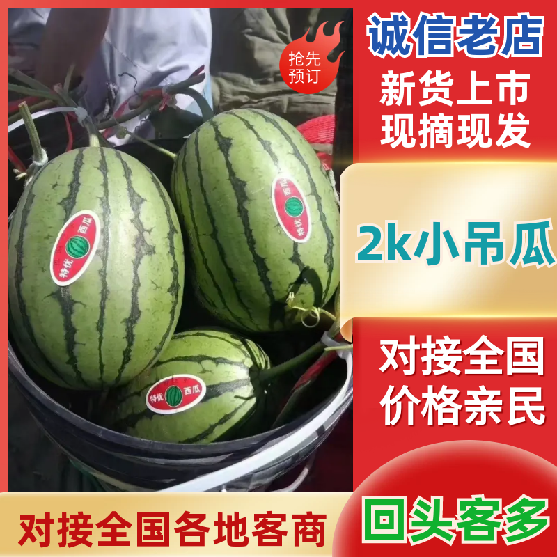 精品2K吊瓜大量上市，产地直发可对接全国市场电商商超等