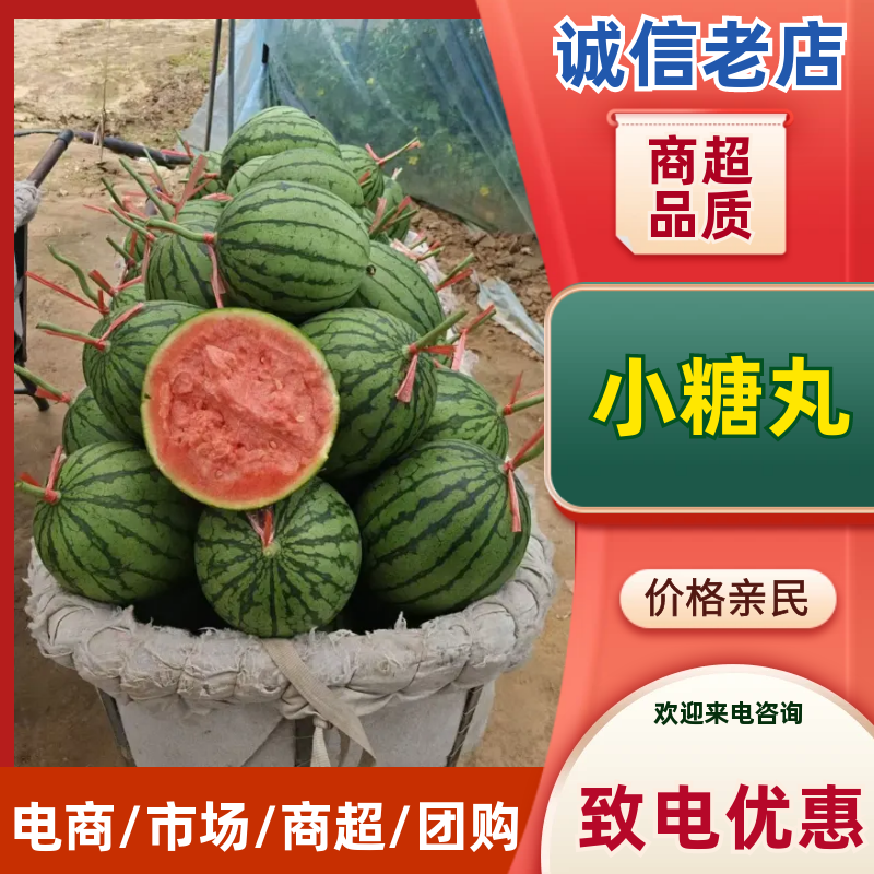吊秧小西瓜小糖丸西瓜🍉精品西瓜几十万斤品质保障先到先得