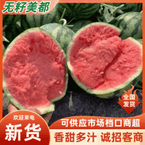 精品西瓜基地直发大量上市代发全国欢迎