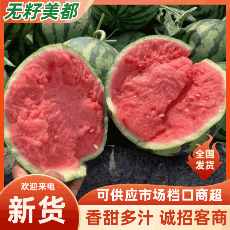精品西瓜基地直发大量上市代发全国欢迎