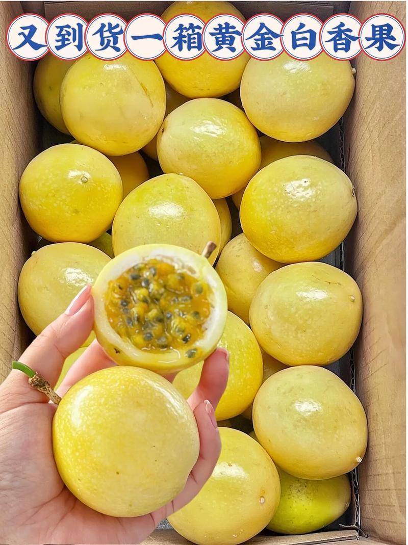 广东阳江精品黄金百香果/价格便宜产地直发欢迎联系