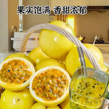 广东阳江精品黄金百香果/价格便宜产地直发欢迎联系