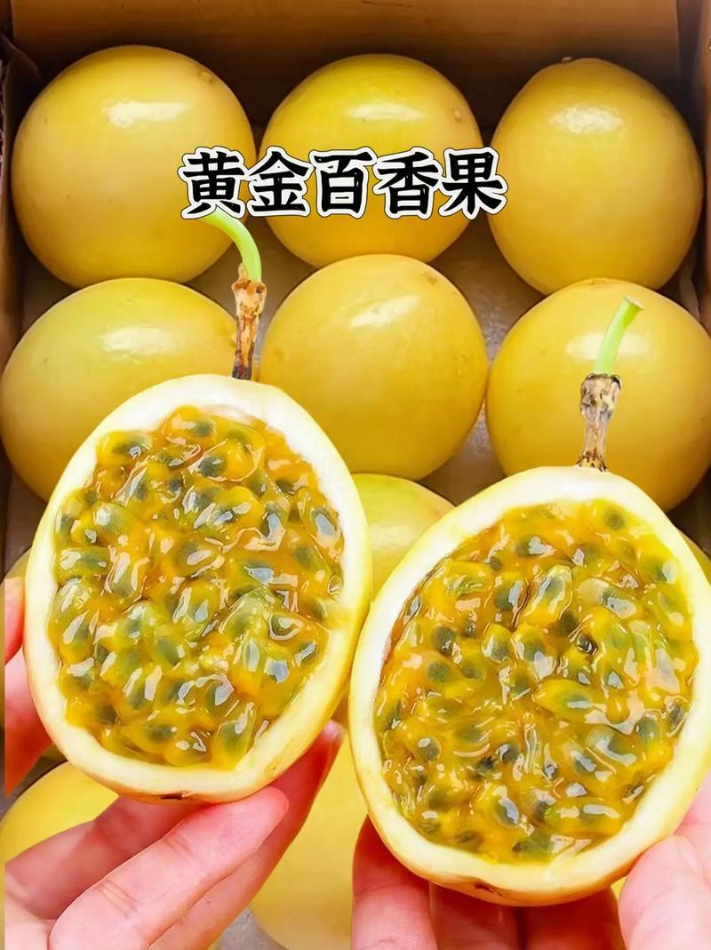 广东阳江精品黄金百香果/价格便宜产地直发欢迎联系