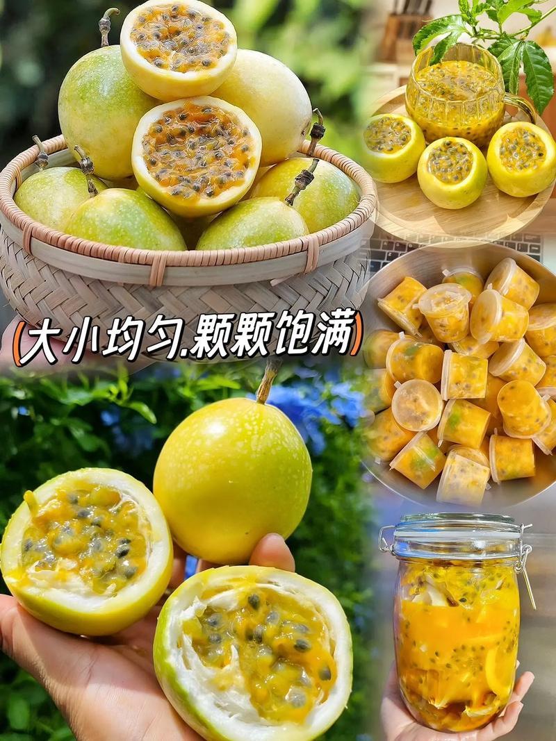 广东阳江精品黄金百香果/价格便宜产地直发欢迎联系