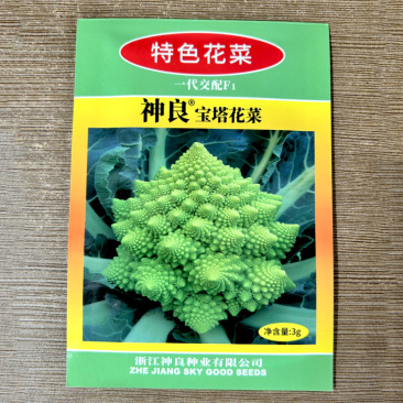 宝塔花菜种子青花椰菜种子螺丝菜耐寒抗病春秋种植