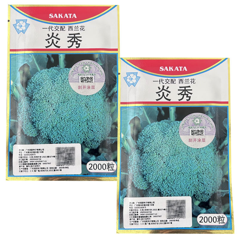 炎秀西兰花种子2000粒中熟耐热青花菜蔬菜种籽春秋季