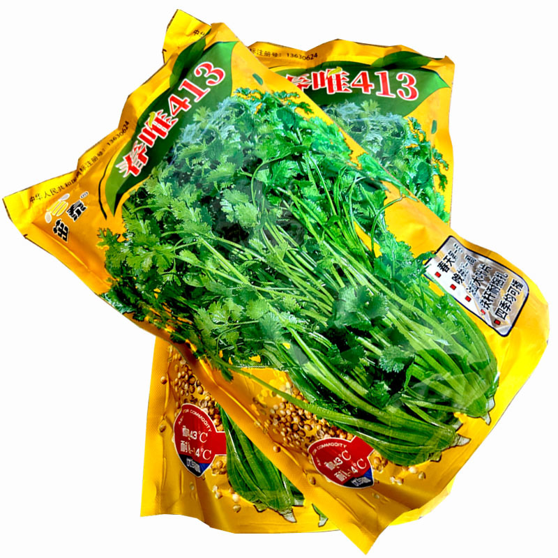 春唯413香菜种子芫荽铁杆耐扎捆油面大叶耐热四季栽培