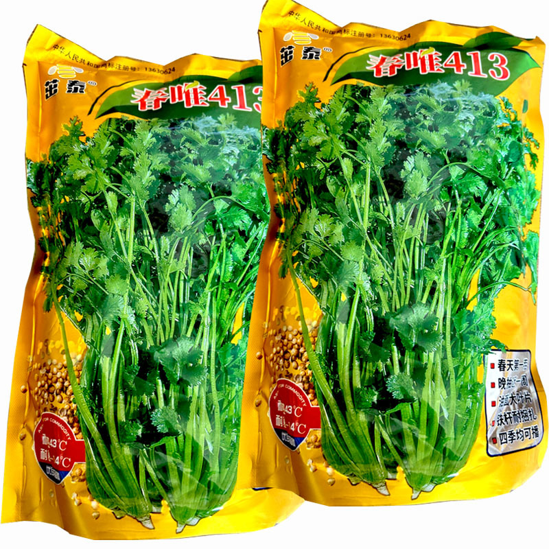 春唯413香菜种子芫荽铁杆耐扎捆油面大叶耐热四季栽培
