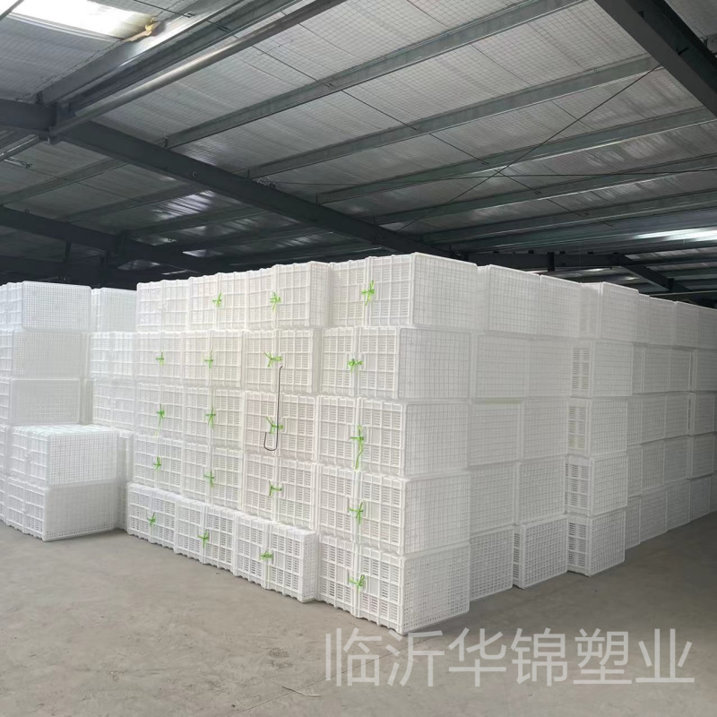 塑料蔬菜筐厂家直销