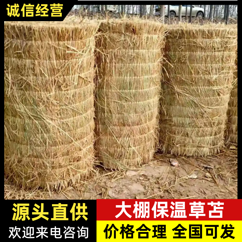 【草类物料】适配大棚覆盖、园林绿化、工程防护、多种场景等